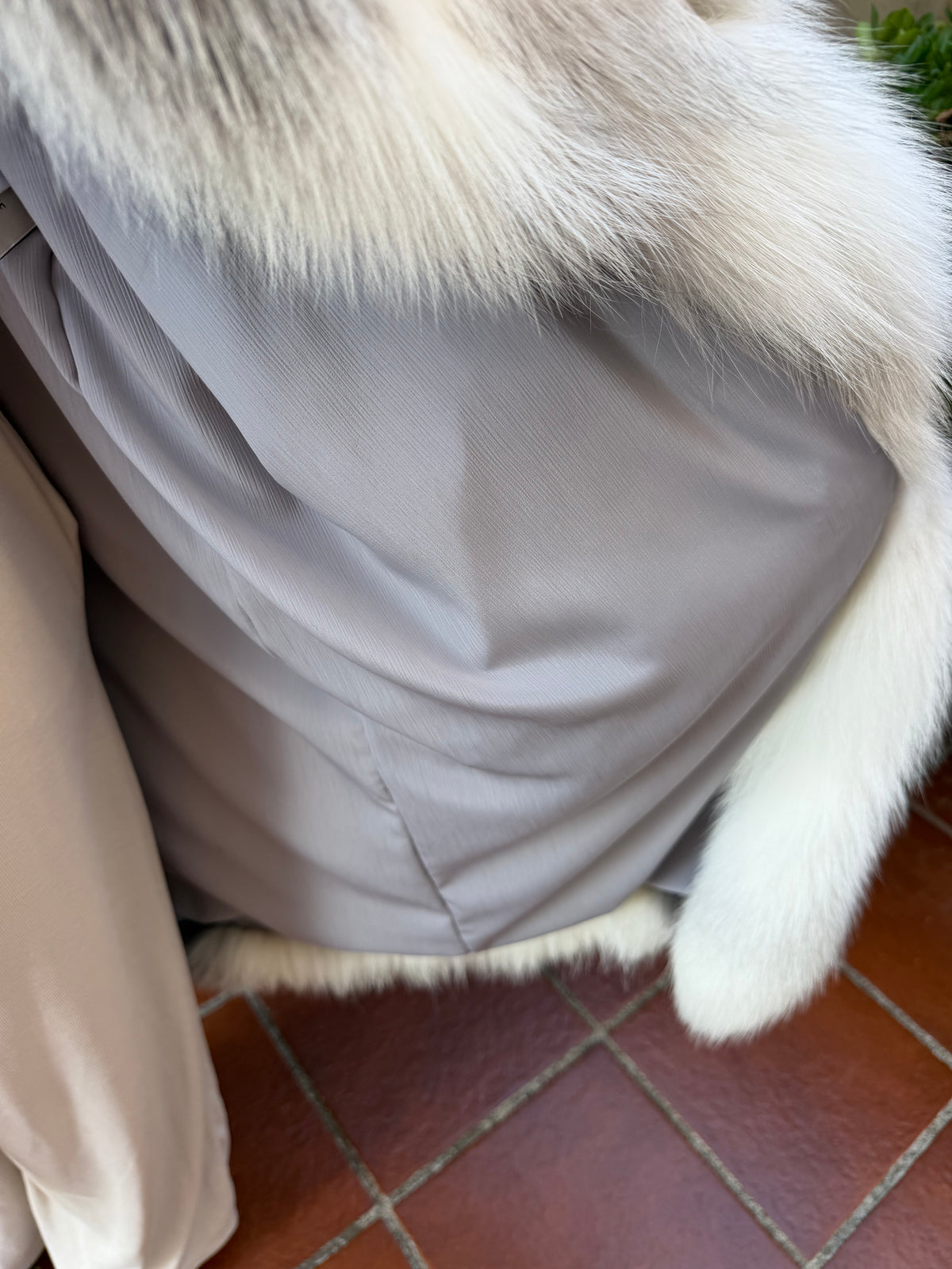 Neue Fuchspelzjacke